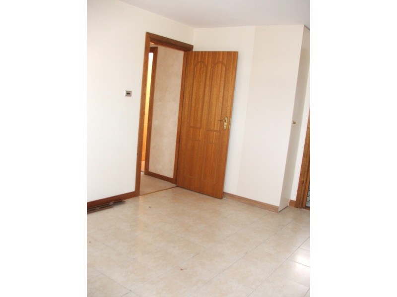 3 Salamander Place, Mount Lewis NSW 2200