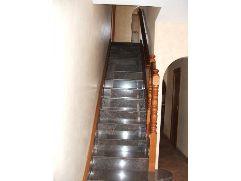 3 Salamander Place, Mount Lewis NSW 2200