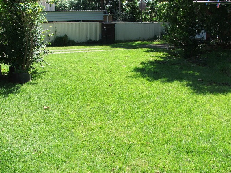 79 Catherine Street, Punchbowl NSW 2196