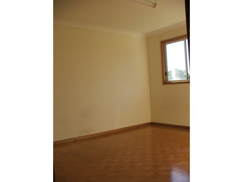 29 Petunia Avenue, Bankstown NSW 2200