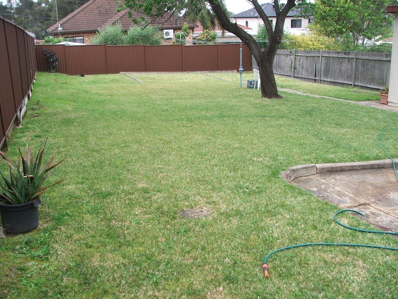 95 Fenwick Street, Bankstown NSW 2200