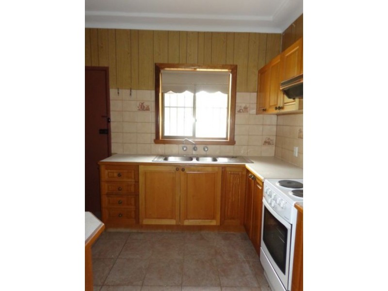 20 Vivian Crescent, Berala NSW 2141