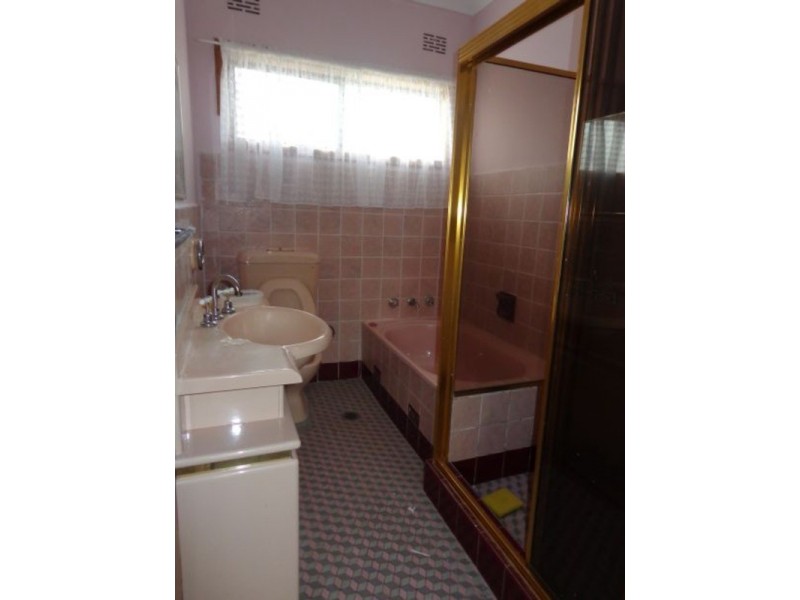 20 Vivian Crescent, Berala NSW 2141