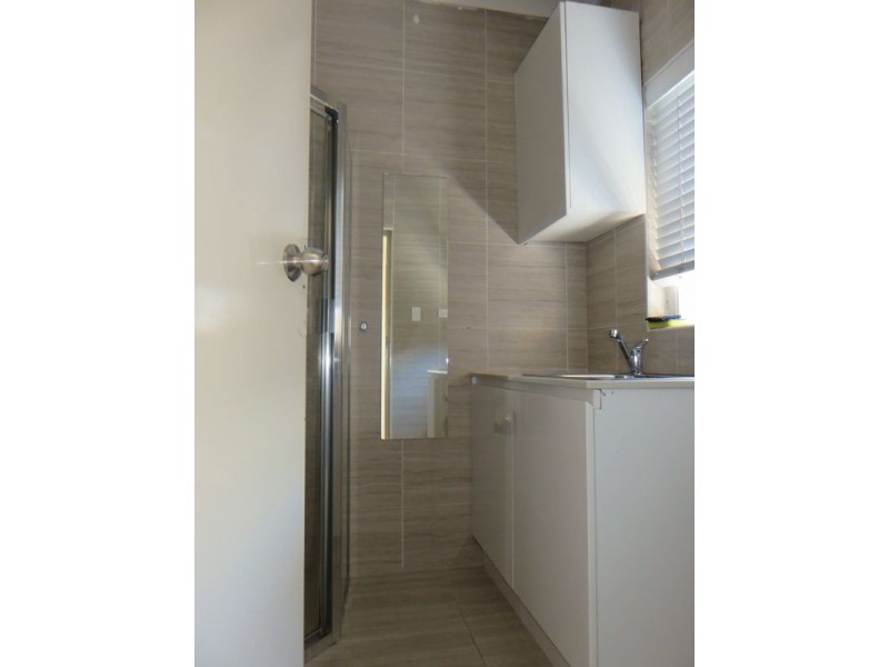 9 Seaman Avenue, Fairfield East NSW 2165