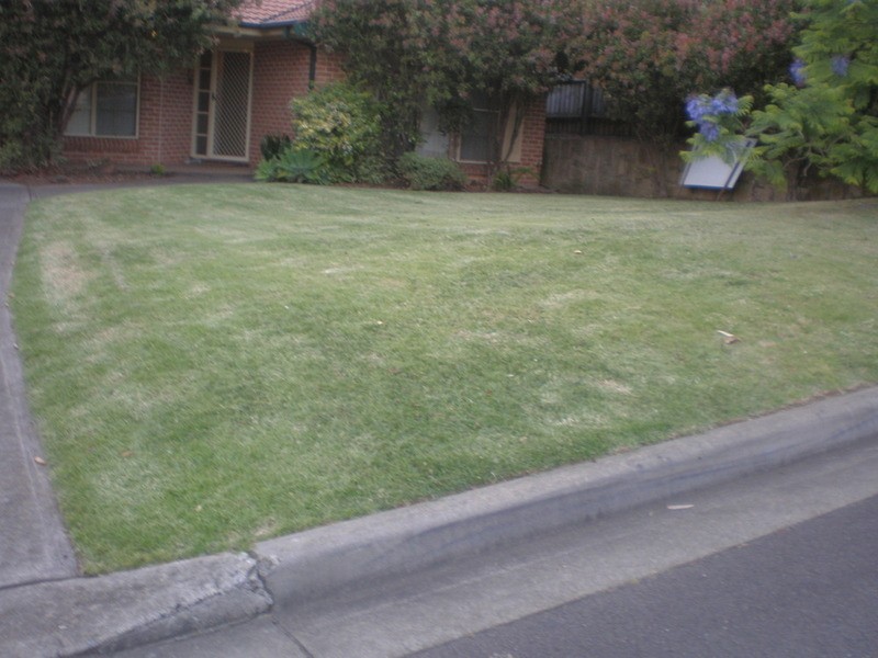 17 Willowbrook Place, Castle Hill NSW 2154