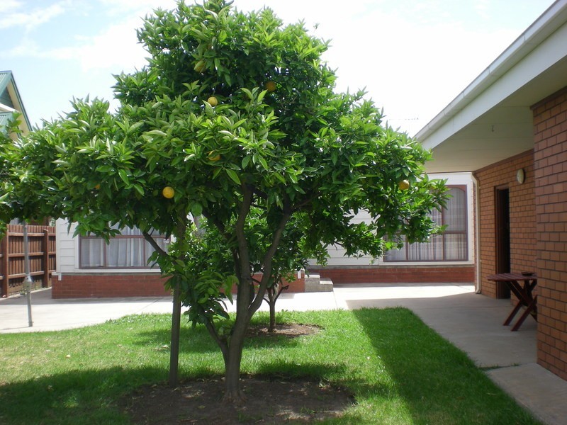 121 Hall Street, Sunshine West VIC 3020