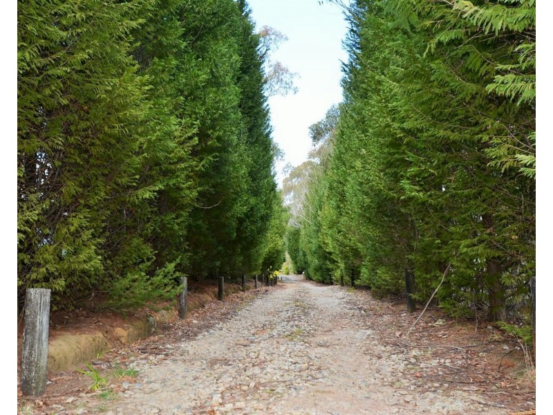 47 Valley View Road, Dargan NSW 2786