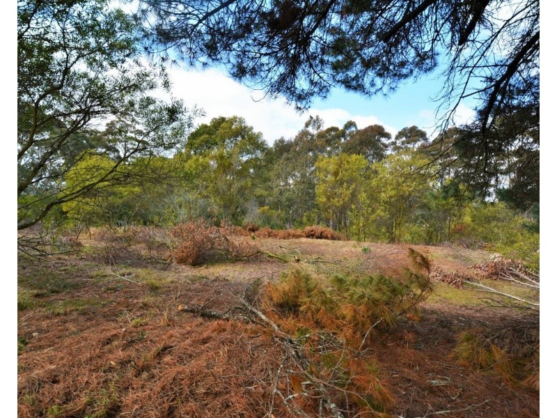 47 Valley View Road, Dargan NSW 2786