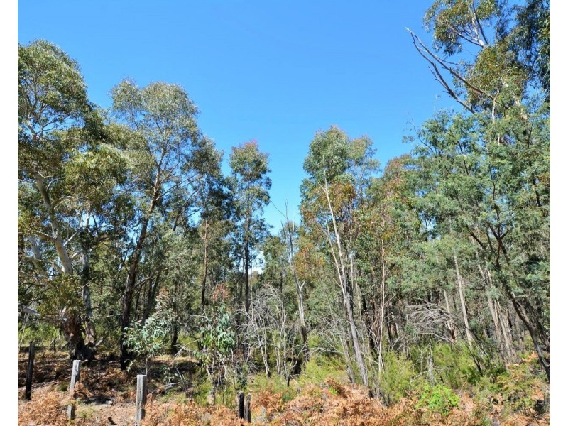 83 Donald Road, Clarence NSW 2790