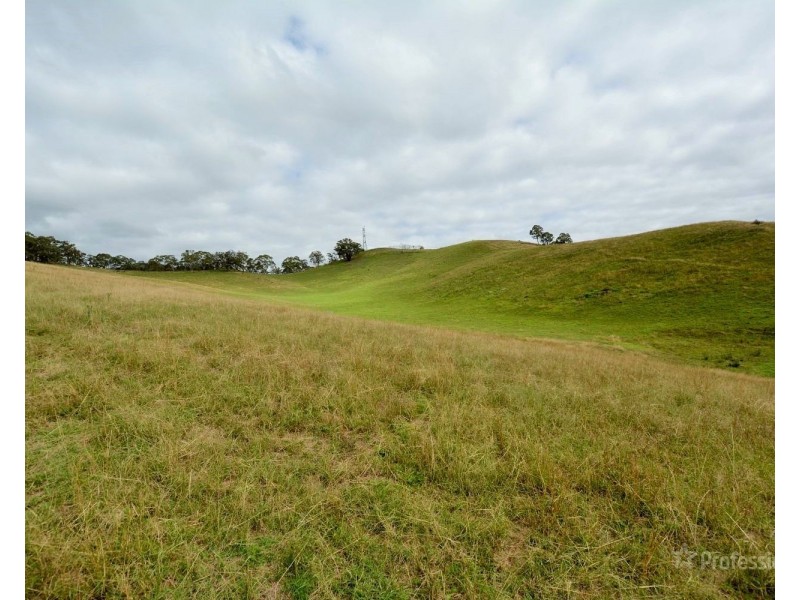 710 Cullenbenbong Road, Kanimbla NSW 2790