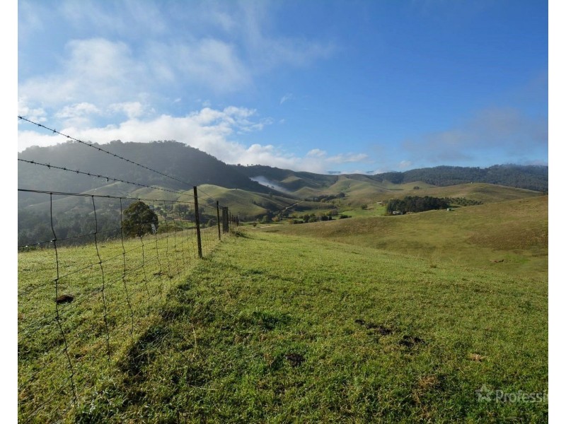 710 Cullenbenbong Road, Kanimbla NSW 2790