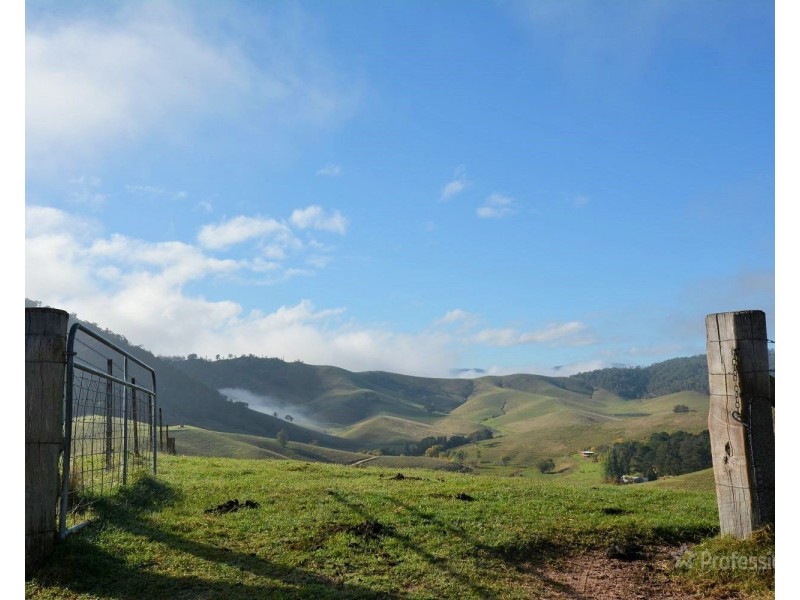 710 Cullenbenbong Road, Kanimbla NSW 2790