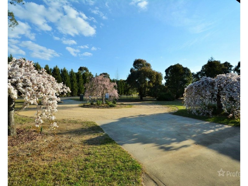 99 Mid Hartley Road, Hartley NSW 2790