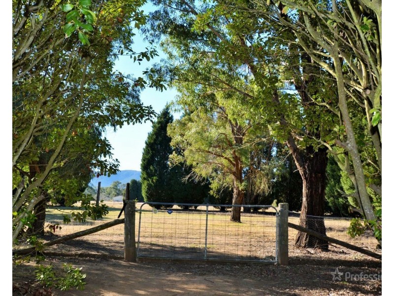 99 Mid Hartley Road, Hartley NSW 2790