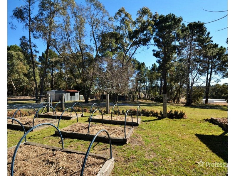 56 Skelly Road, Lidsdale NSW 2790