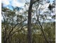 228 Sir Thomas Mitchell Drive, Lithgow NSW 2790