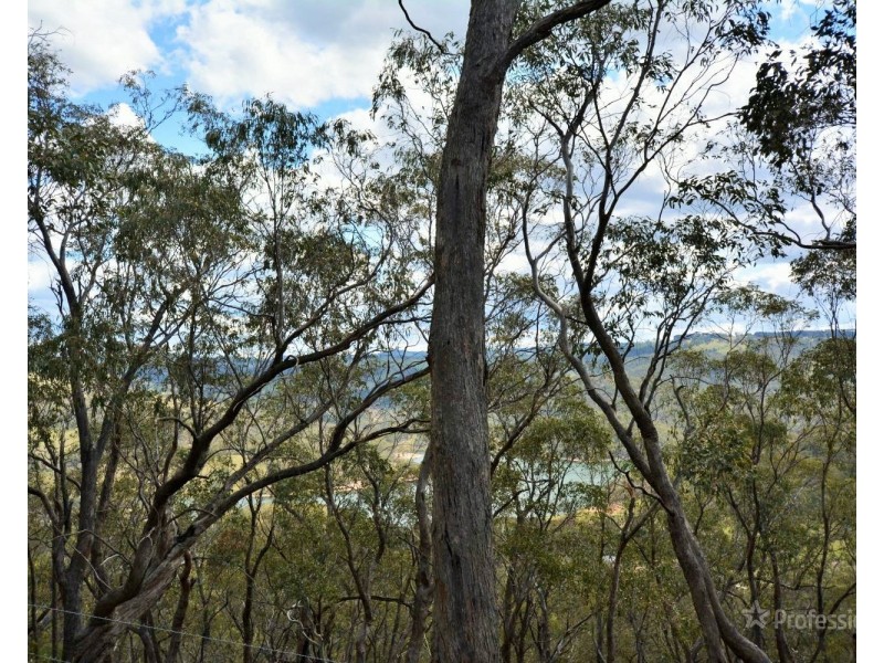 228 Sir Thomas Mitchell Drive, Lithgow NSW 2790