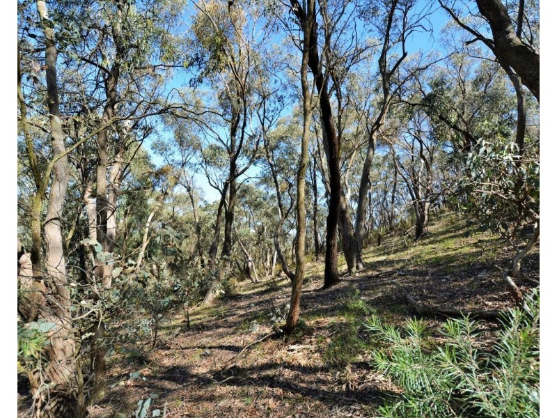 228 Sir Thomas Mitchell Drive, Lithgow NSW 2790