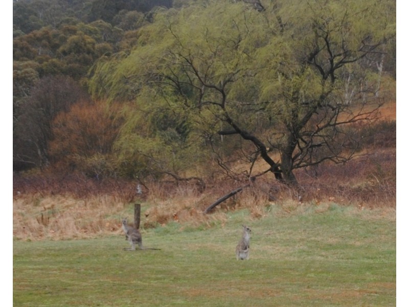 2/76 Hartley Valley Road, Lithgow NSW 2790