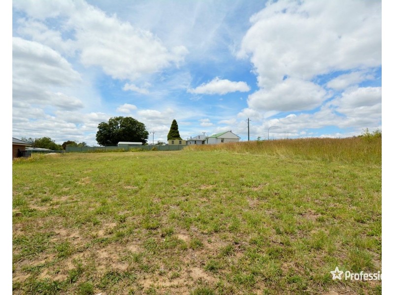 20 Henrietta Street, Wallerawang NSW 2845