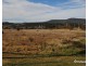 12 Walker Drive, Wallerawang NSW 2845