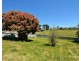 43 Oxley Street, Wallerawang NSW 2845