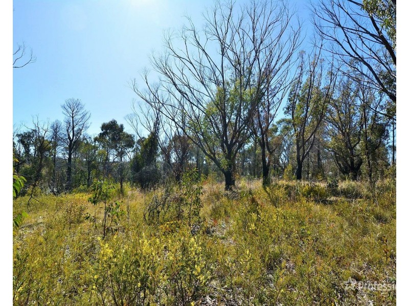 171 Kerma Crescent, Clarence NSW 2790