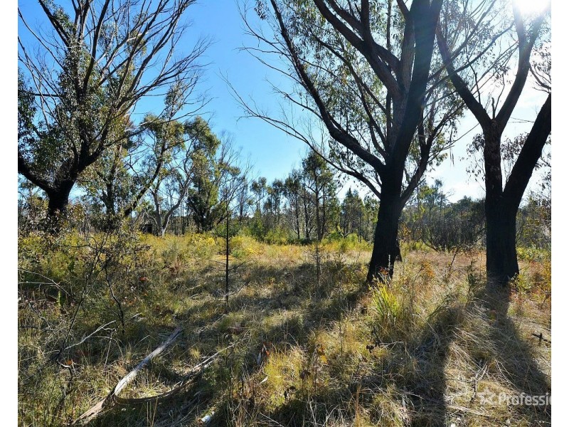 171 Kerma Crescent, Clarence NSW 2790