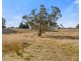 40 Limestone Creek Road, Portland NSW 2847