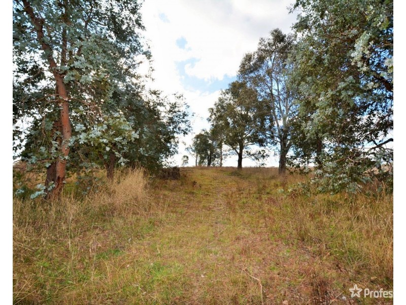 40 Limestone Creek Road, Portland NSW 2847