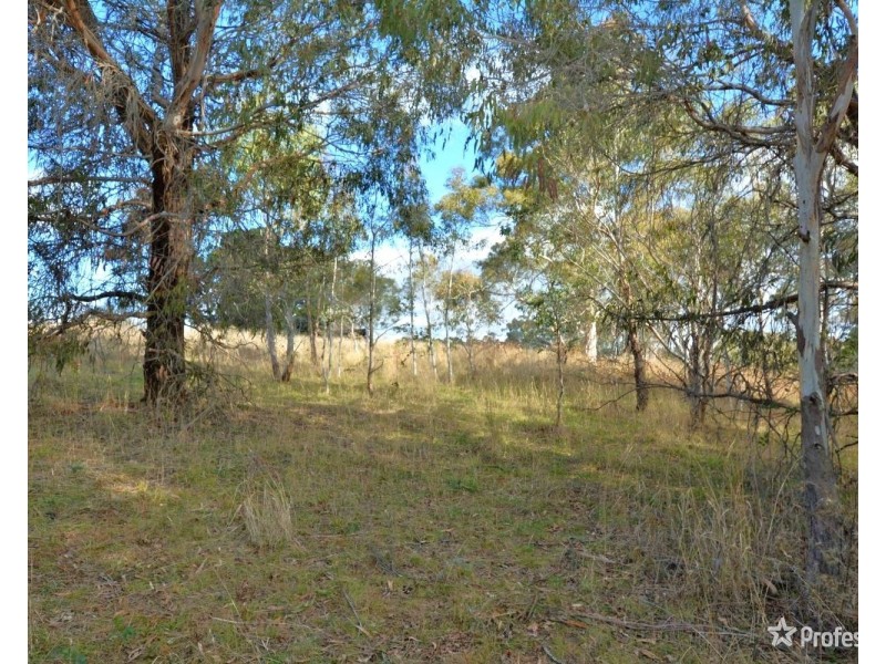 40 Limestone Creek Road, Portland NSW 2847