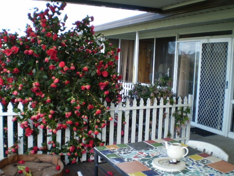 14 Walker Drive, Wallerawang NSW 2845