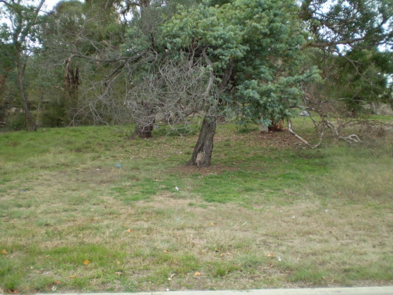 21 Neubeck Street, Lidsdale NSW 2790