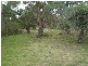 21 Neubeck Street, Lidsdale NSW 2790