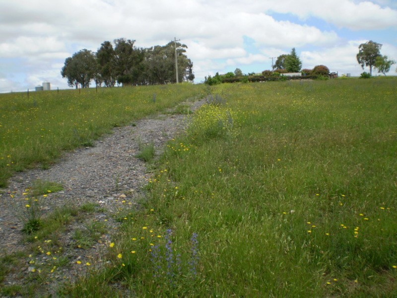 154 Portland Road, Pipers Flat NSW 2847