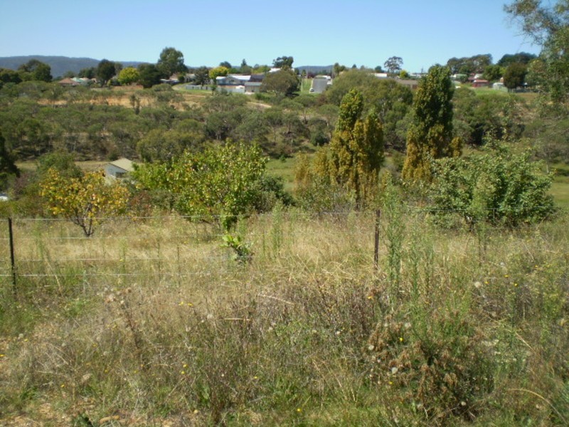 81 Henning Crescent, Wallerawang NSW 2845