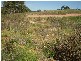 81 Henning Crescent, Wallerawang NSW 2845