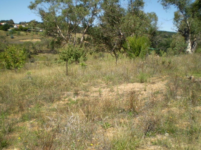 81 Henning Crescent, Wallerawang NSW 2845