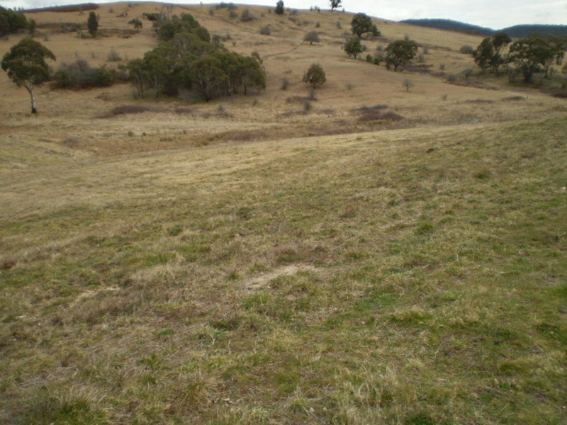 Bowen Vista Estate, Lithgow NSW 2790