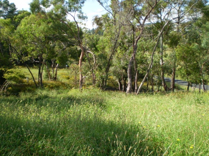 Lot 22 Creek Street, Portland NSW 2847