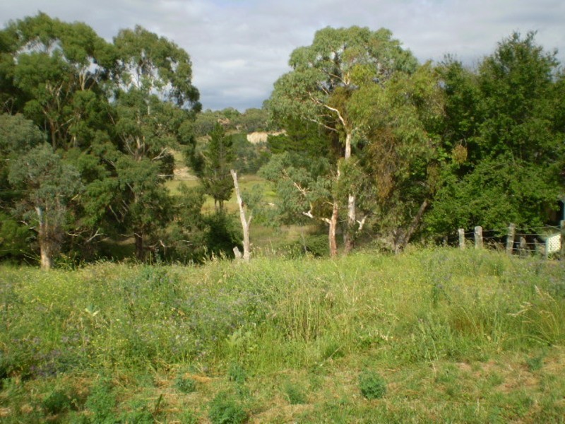 “Paloma” Creek Street, Portland NSW 2847