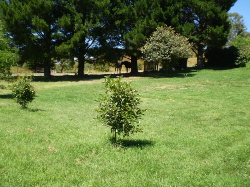 Lot 1 Bathurst Road, Rydal NSW 2790