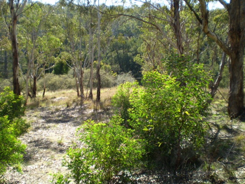Lot 4 Great Western Highway, Hartley NSW 2790