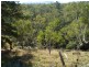 Lot 4 Great Western Highway, Hartley NSW 2790