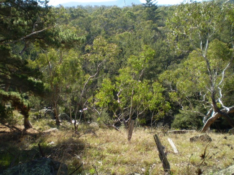 Lot 4 Great Western Highway, Hartley NSW 2790