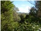 3488 Great Western Highway, Bowenfels NSW 2790