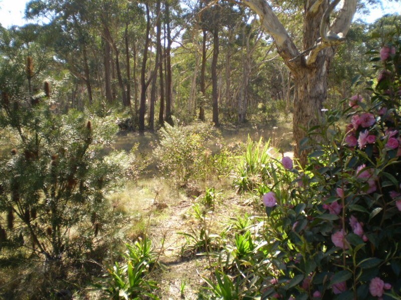 156 Donald Road, Lithgow NSW 2790