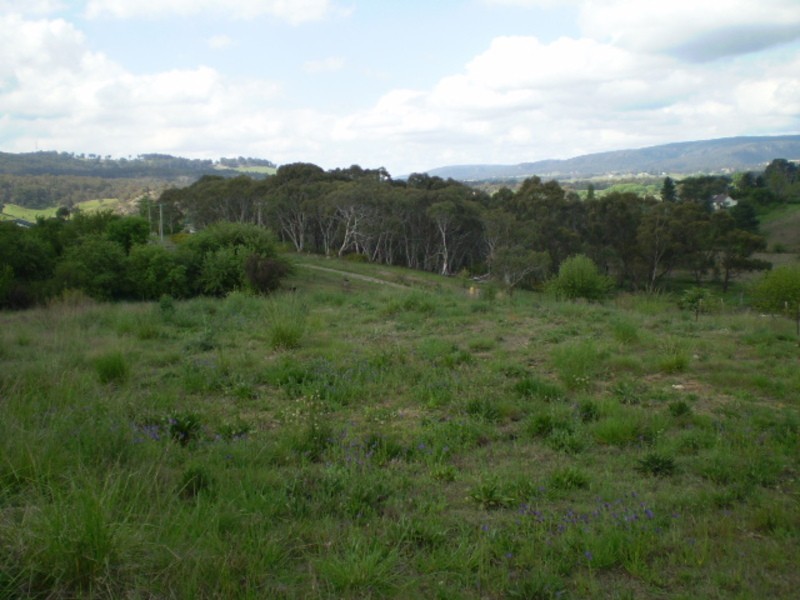 81 Henning Crescent, Wallerawang NSW 2845