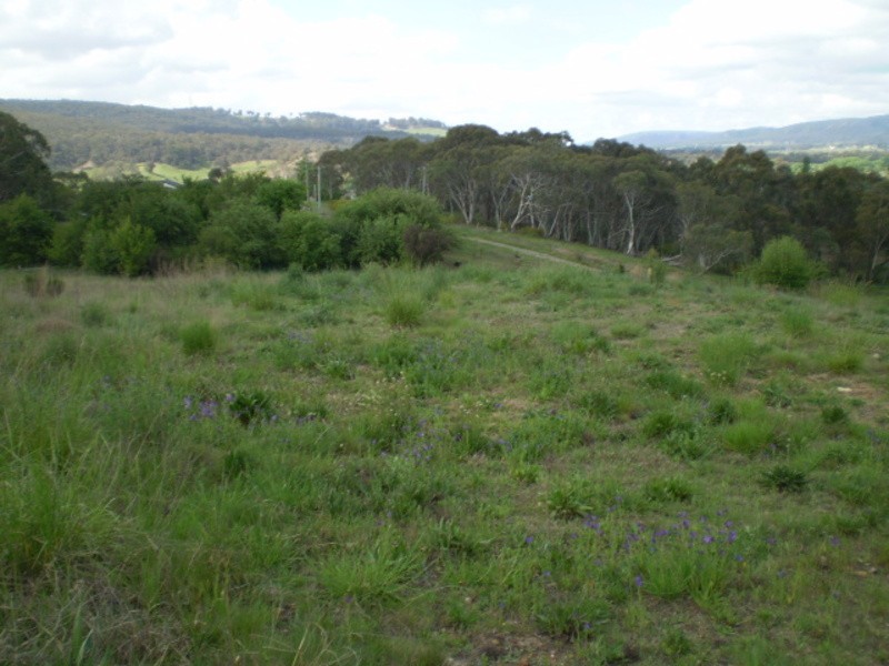 81 Henning Crescent, Wallerawang NSW 2845