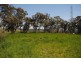 242c Sunny Corner Road, Portland NSW 2847